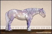 Horse Color:Watercolor White Spotted Silver Brown Pearl Sabino