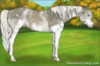 Horse Color:White Spotted Liver Chestnut Splash 