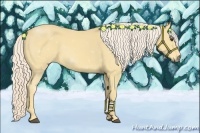 Horse Color:Palomino 