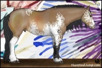 Horse Color:White Spotted Bay Dun Sabino 