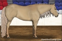 Horse Color:Palomino 