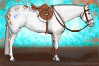 Horse Color:White Spotted Bay Sabino Frame Appaloosa