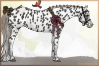 Horse Color:Smoky Black Appaloosa