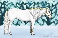 Horse Color:Palomino Dun Near Leopard