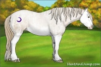 Horse Color:Liver Chestnut Ice Pearl Splash 