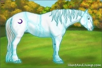 Horse Color:Thunderstruck Buckskin Pearl Splash Appaloosa 
