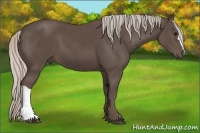Horse Color:Silver Black 