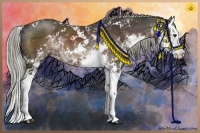 Horse Color:Liver Chestnut Sabino Splash