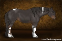 Horse Color:Liver Chestnut Tobiano 