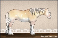 Horse Color:White Spotted Silver Amber Champagne Onyx Splash Frame 