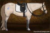Horse Color:Buckskin Roan Varnish 