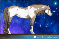 Horse Color:Liver Red Dun Frame 