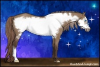 Horse Color:Liver Red Dun Frame