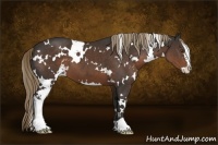 Horse Color:White Spotted Liver Chestnut Sabino 