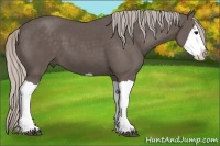 Horse Color:Silver Black Splash 