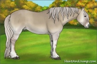 Horse Color:Silver Smoky Grullo Onyx