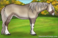 Horse Color:Silver Grullo Onyx 