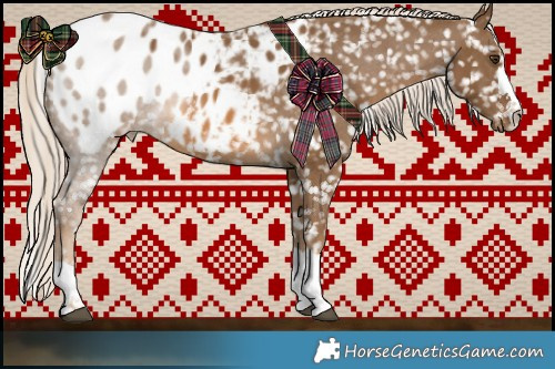 Horse Color:Chocolate Palomino Blanket 