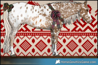 Horse Color:Chocolate Palomino Blanket