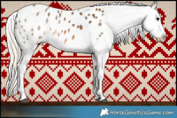 Horse Color:Chocolate Palomino Appaloosa