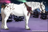 Horse Color:Bay Snowflake Varnish 