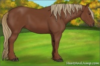 Horse Color:Chestnut Frame 