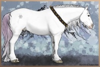 Horse Color:Watercolor Bay Dun Snowflake Varnish