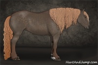 Horse Color:Liver Chestnut Sabino