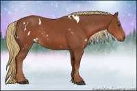 Horse Color:White Spotted Chestnut Rabicano 