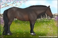 Horse Color:Brown Rabicano 
