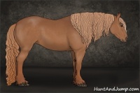 Horse Color:Chestnut Sabino