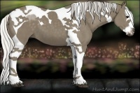 Horse Color:Silver Smoky Black Splash Tobiano 