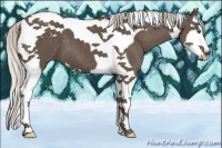 Horse Color:Silver Black Splash Tobiano 
