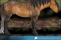 Horse Color:Buckskin Rabicano 