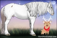 Horse Color:White Spotted Chocolate Bay Sabino Appaloosa