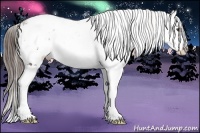 Horse Color:Liver Chestnut Sabino Splash Appaloosa 