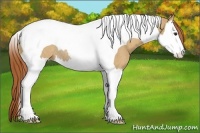 Horse Color:Red Dun Splash Tobiano Rabicano