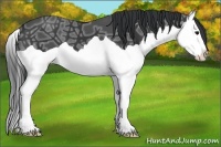 Horse Color:Black Ice Splash