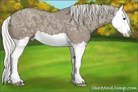 Horse Color:Silver Smoky Grullo Ice Splash 