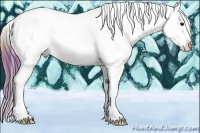 Horse Color:Plaid Bay Splash Tobiano Appaloosa