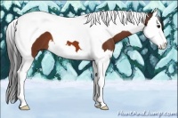 Horse Color:Bay Sabino Splash Tobiano