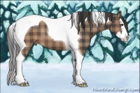 Horse Color:Plaid Brown Splash Tobiano Rabicano