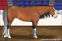 Horse Color:Bay Splash Rabicano