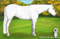 Horse Color:Gray Buckskin Splash Tobiano 