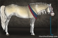 Horse Color:White Spotted Chocolate Palomino Onyx Sabino Splash  Brindle
