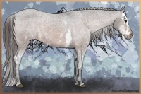 Horse Color:Bay Sabino Splash Appaloosa  Brindle