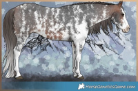 Horse Color:Bay Sabino Splash Varnish Brindle