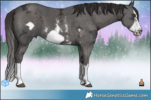 Horse Color:Liver Chestnut Ice Sabino Splash Frame  and Liver Chestnut Ice Sabino Splash Frame 
