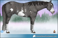 Horse Color:Liver Chestnut Ice Sabino Splash Frame  and Liver Chestnut Ice Sabino Splash Frame 