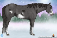 Horse Color:Liver Chestnut Ice Sabino Splash Frame  and Liver Chestnut Ice Sabino Splash Frame 